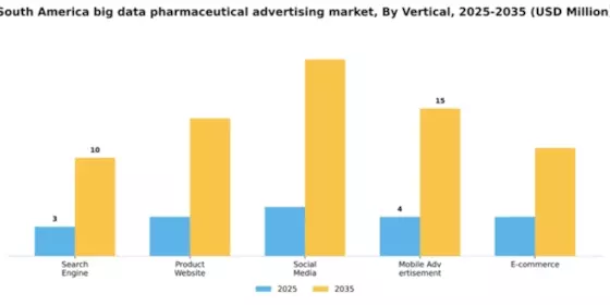 South America Big Data Pharmaceutical Advertising Market Segment Image 2