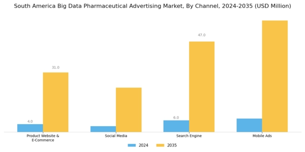 South America Big Data Pharmaceutical Advertising Market Segment Image 0