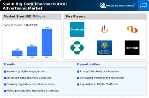 Spain Big Data Pharmaceutical Advertising Market Infographic