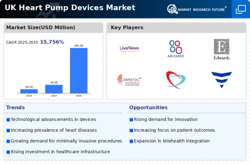 UK Heart Pump Devices Market Infographic