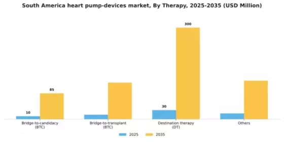 South America Heart Pump Devices Market Segment Image 3