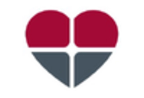 South America Heart Pump Devices Market key player