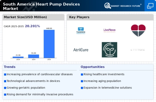 South America Heart Pump Devices Market Infographic