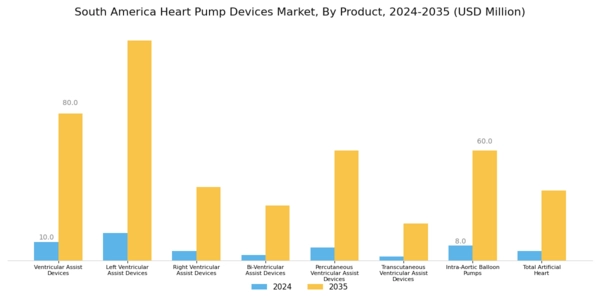 South America Heart Pump Devices Market Segment Image 0