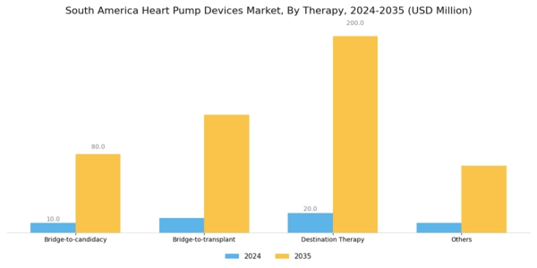 South America Heart Pump Devices Market Segment Image 2