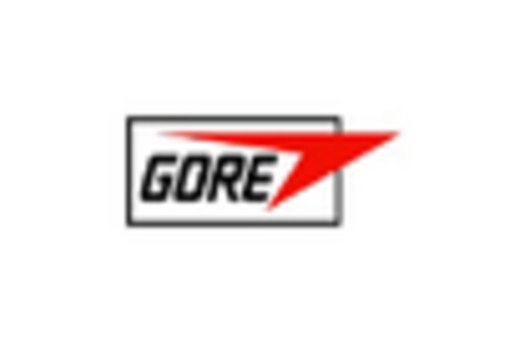 India Heart Pump Devices Market key player