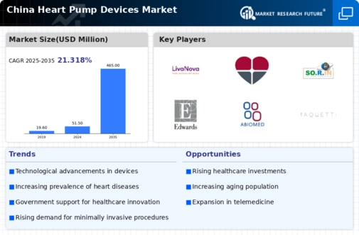 China Heart Pump Devices Market Infographic