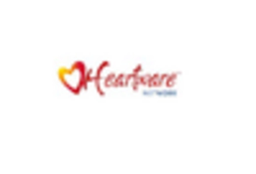 China Heart Pump Devices Market key player