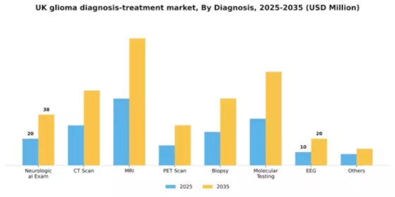 UK Glioma Diagnosis Treatment Market Segment Image 0