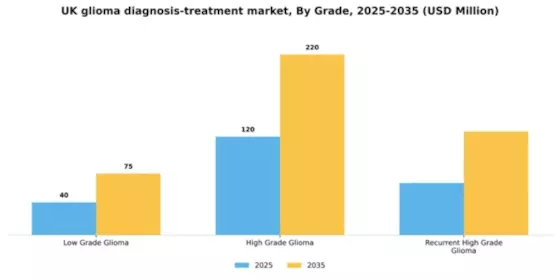 UK Glioma Diagnosis Treatment Market Segment Image 2