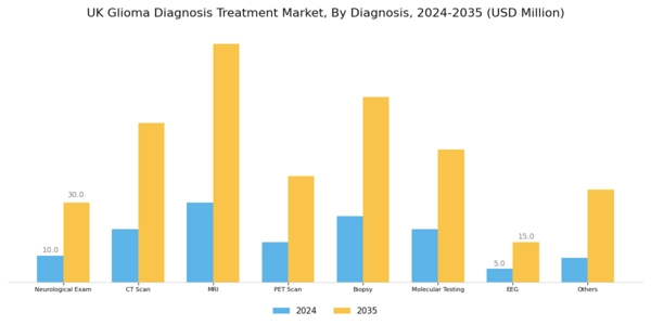 UK Glioma Diagnosis Treatment Market Segment Image 1