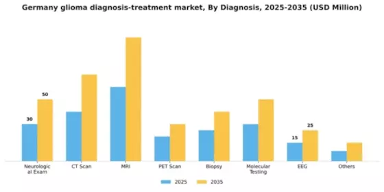 Germany Glioma Diagnosis Treatment Market Segment Image 0