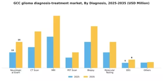 GCC Glioma Diagnosis Treatment Market Segment Image 0