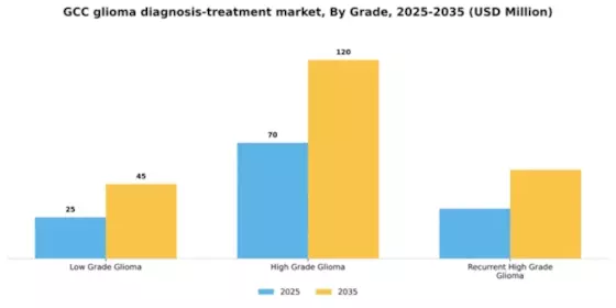 GCC Glioma Diagnosis Treatment Market Segment Image 2
