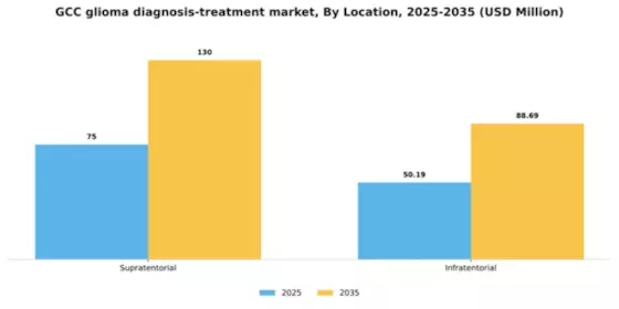 GCC Glioma Diagnosis Treatment Market Segment Image 3