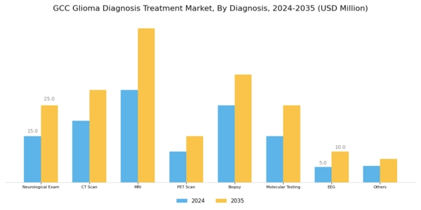 GCC Glioma Diagnosis Treatment Market Segment Image 1