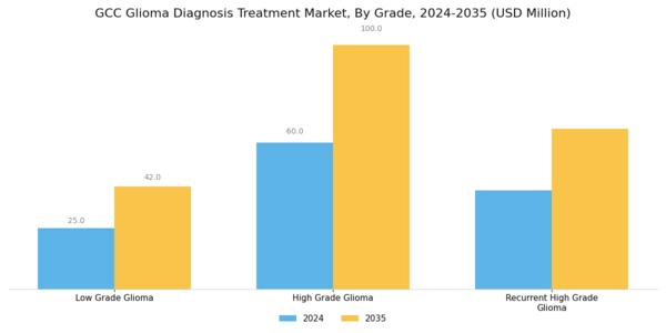 GCC Glioma Diagnosis Treatment Market Segment Image 3