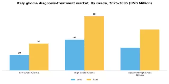 Italy Glioma Diagnosis Treatment Market Segment Image 2