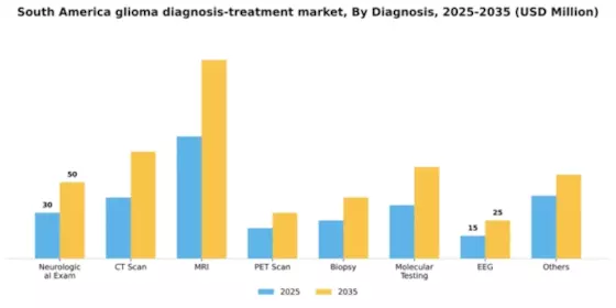 South America Glioma Diagnosis Treatment Market Segment Image 0