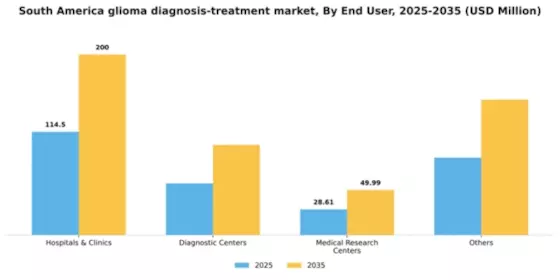 South America Glioma Diagnosis Treatment Market Segment Image 1