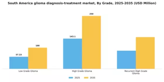 South America Glioma Diagnosis Treatment Market Segment Image 2