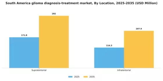 South America Glioma Diagnosis Treatment Market Segment Image 3