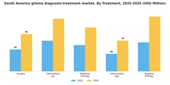 South America Glioma Diagnosis Treatment Market Segment Image 4