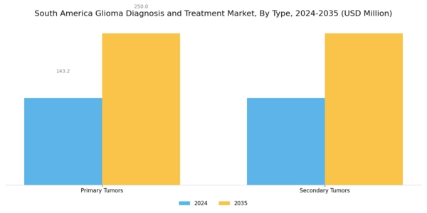 South America Glioma Diagnosis Treatment Market Segment Image 0