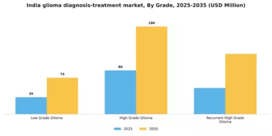 India Glioma Diagnosis Treatment Market Segment Image 2