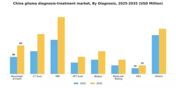 China Glioma Diagnosis Treatment Market Segment Image 0