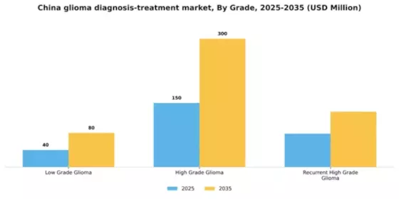 China Glioma Diagnosis Treatment Market Segment Image 2