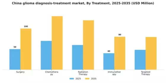 China Glioma Diagnosis Treatment Market Segment Image 4