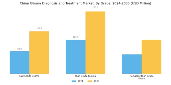 China Glioma Diagnosis Treatment Market Segment Image 3