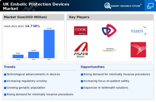 UK Embolic Protection Devices Market Infographic