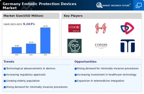 Germany Embolic Protection Devices Market Infographic