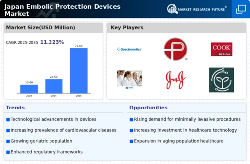 Japan Embolic Protection Devices Market Infographic