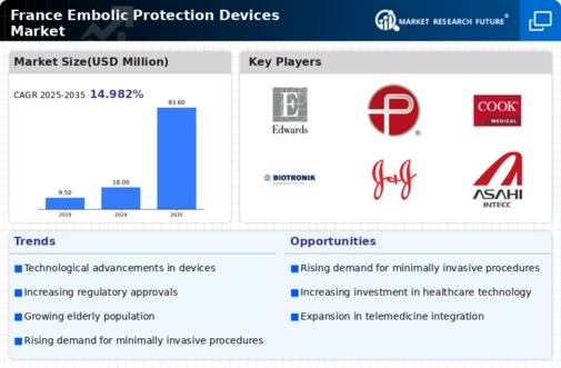 France Embolic Protection Devices Market Infographic