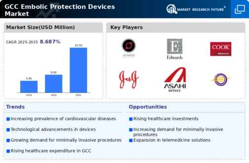 GCC Embolic Protection Devices Market Infographic