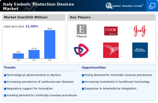 Italy Embolic Protection Devices Market Infographic