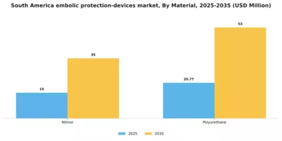 South America Embolic Protection Devices Market Segment Image 2
