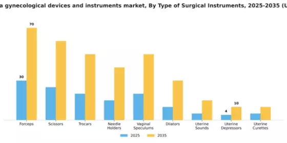 South Korea Gynecological Devices Instruments Market Segment Image 3