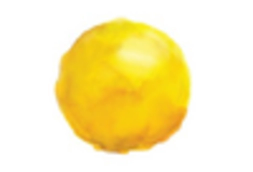 Italy Gynecological Devices Instruments Market key player