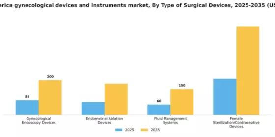 South America Gynecological Devices Instruments Market Segment Image 2