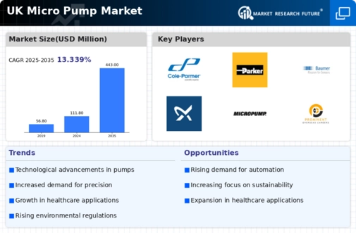 UK Micro Pump Market Infographic