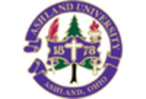 Sizing Thickening Agents /uploads/reports/5463/key_players_0.webp