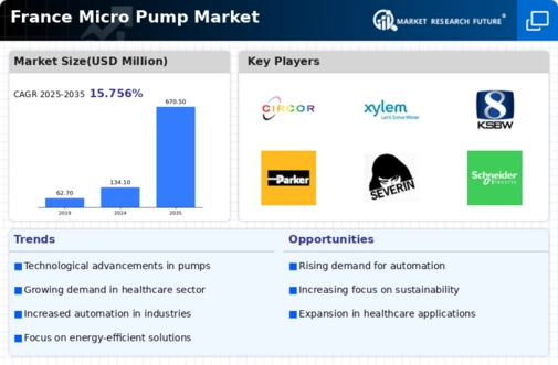 France Micro Pump Market Infographic