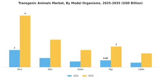 Transgenic Animals Market Segment Image 2