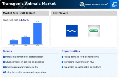 Transgenic Animals Market Infographic