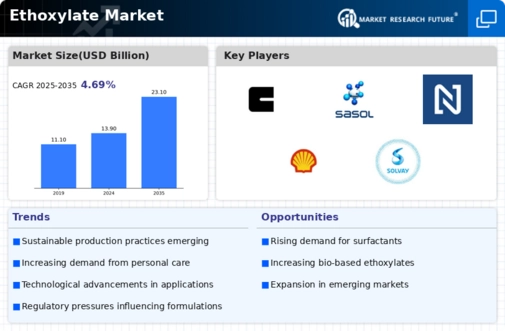 Ethoxylates Market Infographic