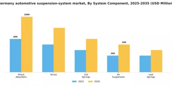 Germany Automotive Suspension System Market Segment Image 1